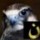 Profile picture for user Katarzyna