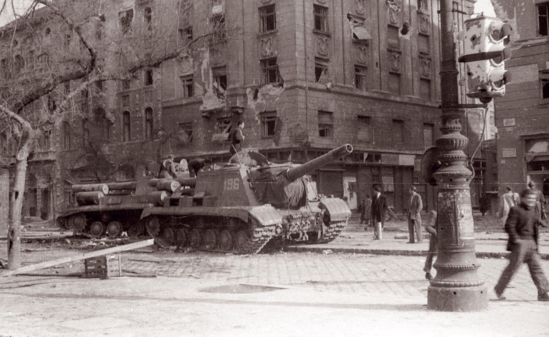 Wkład  do wielkiego wstydu dla władz w POLSCE