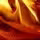 Profile picture for user Fahrenheit 451